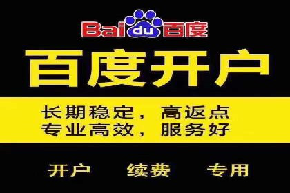 不同预算下的百度推广：案例分析与费用解析